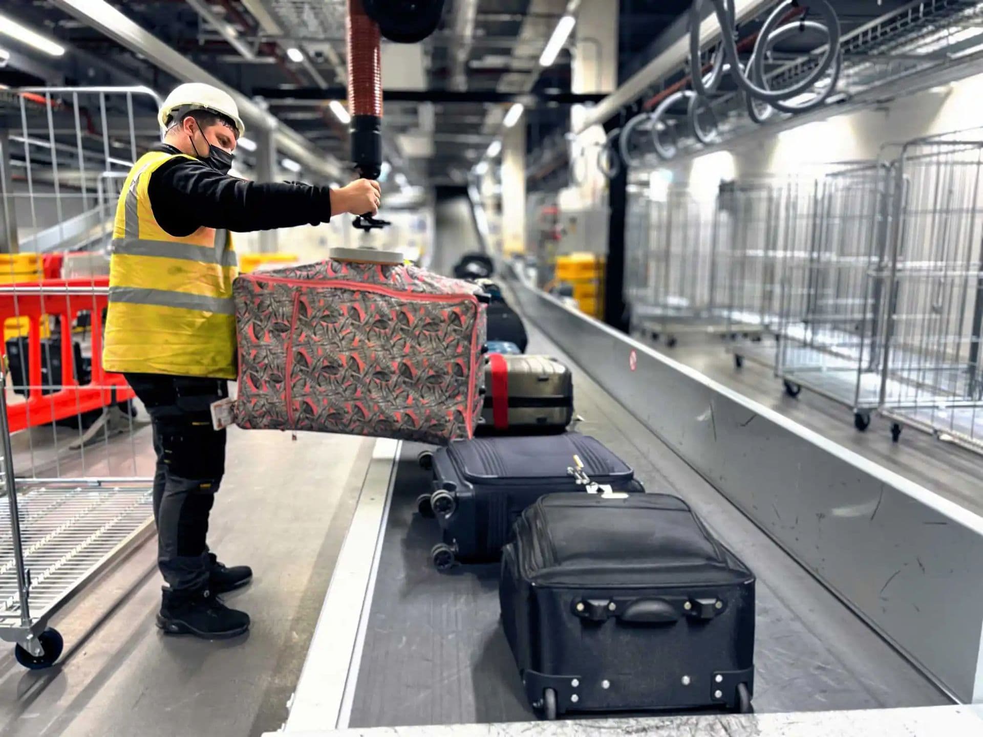 Transformacja zarządzania hodowlą zwierząt dzięki technologii RFID