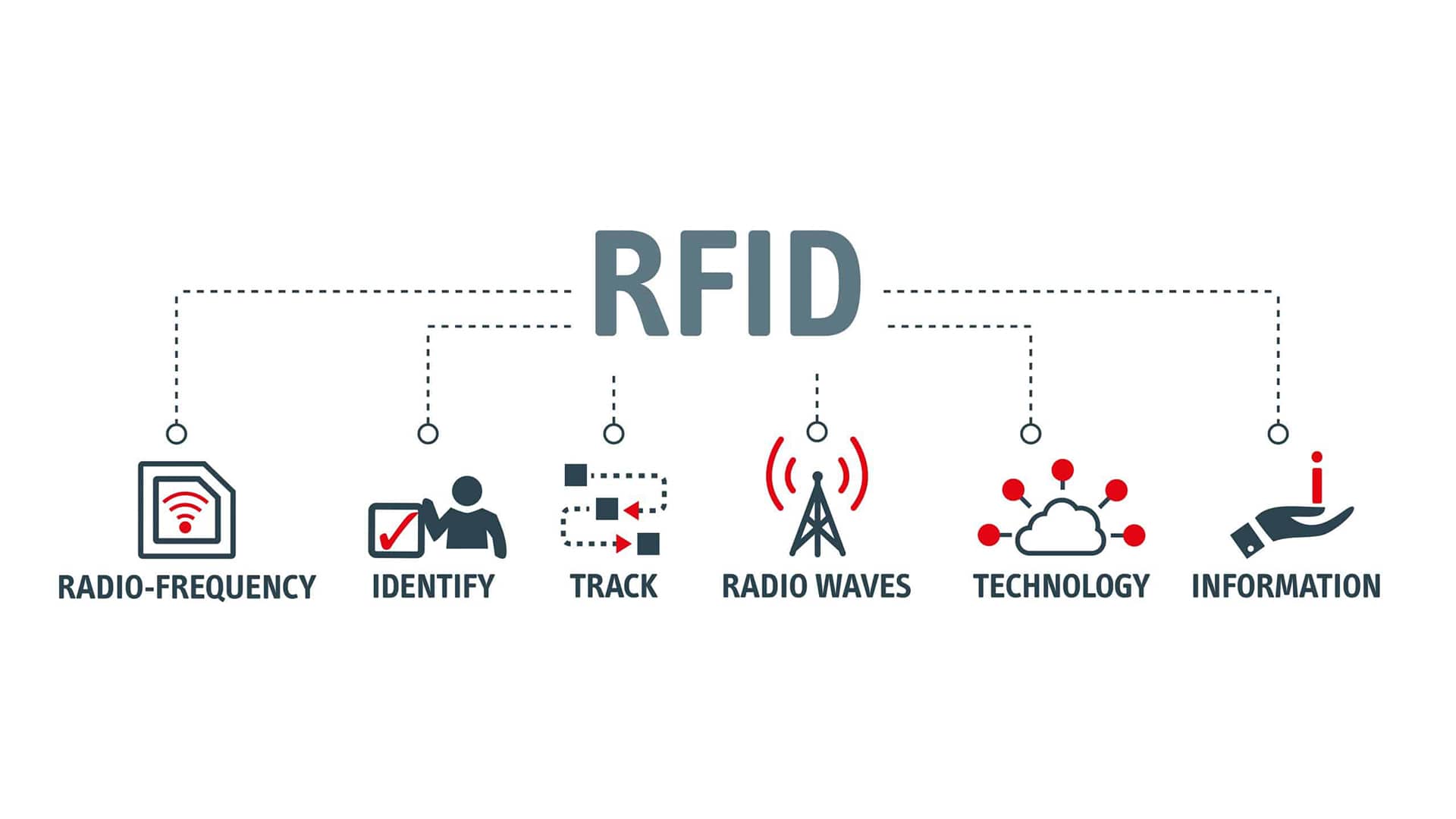 Cyfrowa transformacja logistyki i magazynowania firm herbacianych dzięki technologii RFID